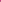  Shorts model 227338 LaBalancia 